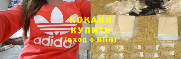твердый Алзамай
