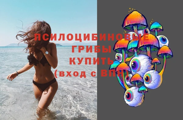 гидропоника Абаза