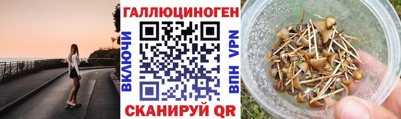 Псилоцибиновые грибы GOLDEN TEACHER  где можно купить   Северодвинск 